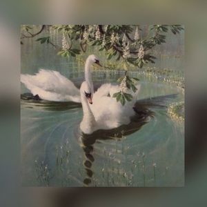 Meet your Posher, Isabella